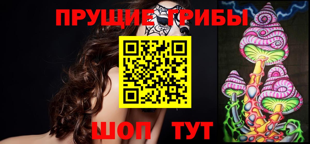 Кашира  Псилоцибиновые грибы ЛСД  Вход с VPN  Псилоцибиновые грибы Magic Shrooms 