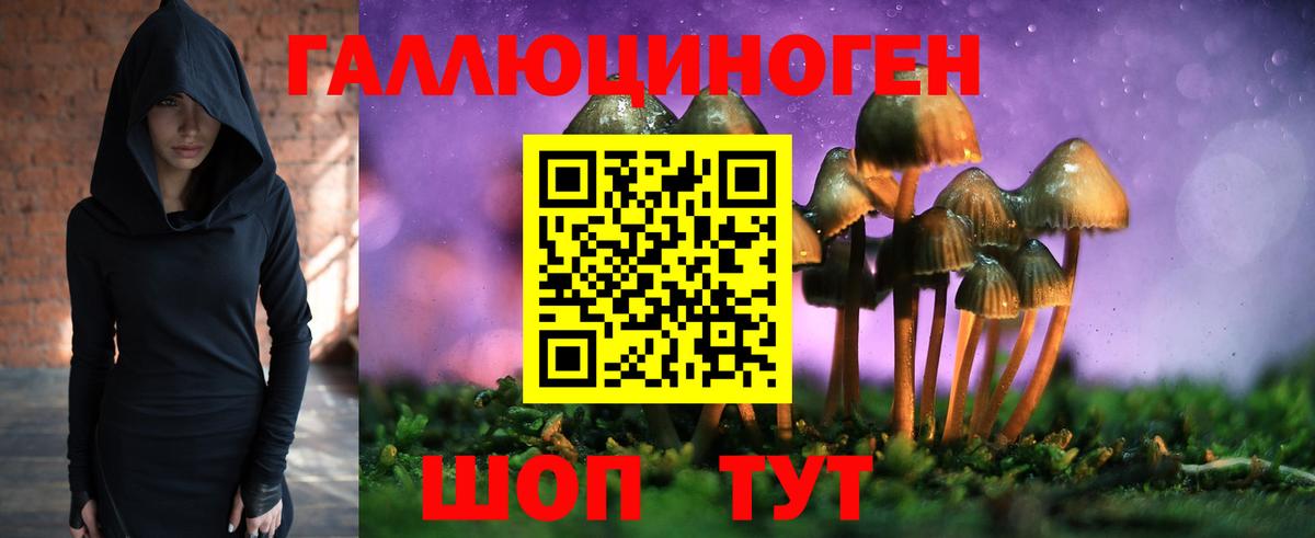 Псилоцибиновые грибы мицелий Кашира